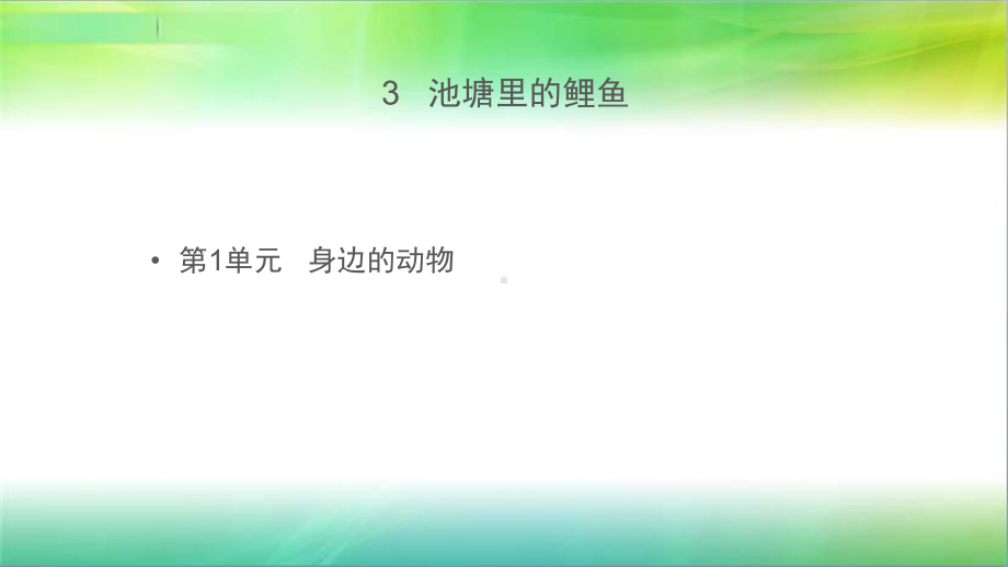 粤教版小学科学新版二年级下册科学（教学课件）《池塘里的鲤鱼》.pptx_第1页