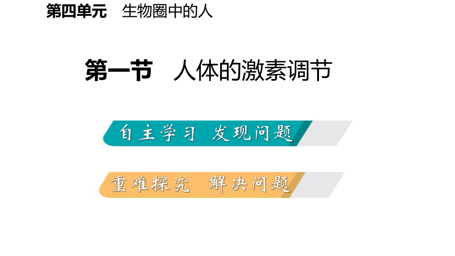 苏科版七年级生物下册第十二章人体生命活动的调节课件.pptx_第2页