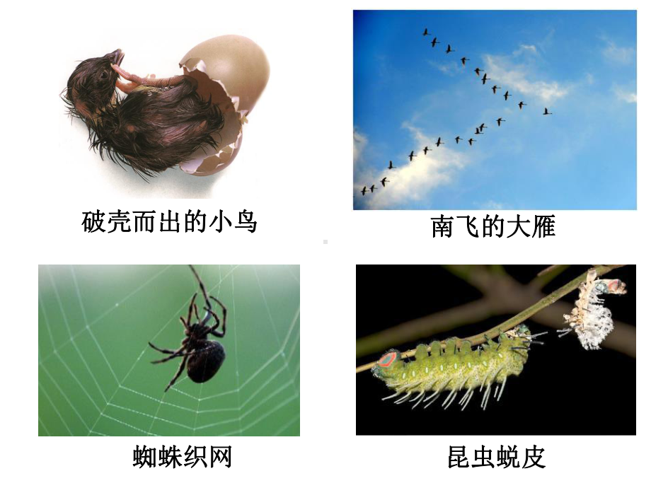 科学并不神秘范本课件.pptx_第3页