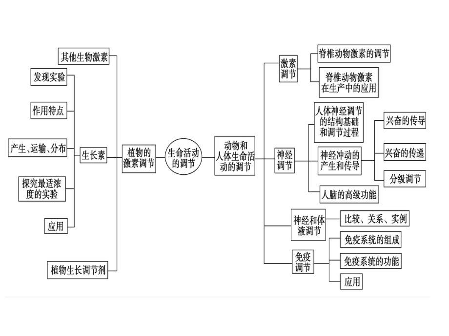 生物二轮复习人和动物生命活动的调节课件.ppt_第3页