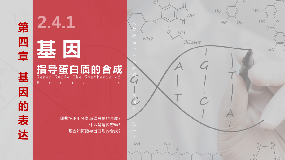 第4章-第1节-基因指导蛋白质的合成课件.pptx_第2页