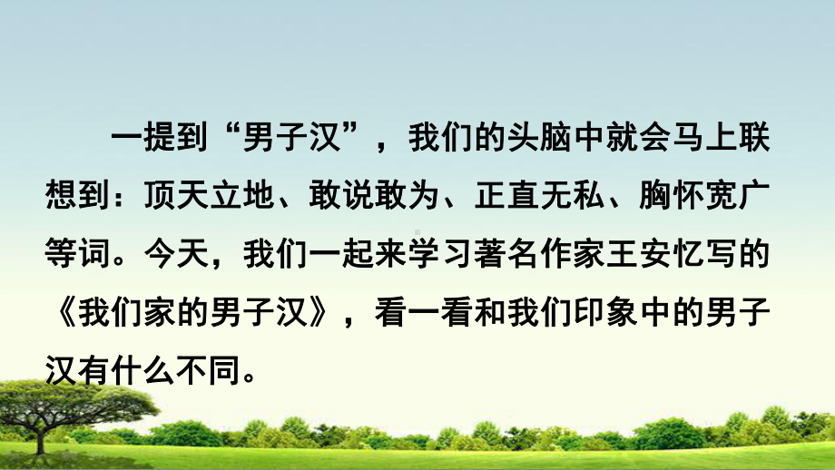 部编人教版四年级下册语文19我们家的男子汉课件2套(新审定部编).pptx_第1页