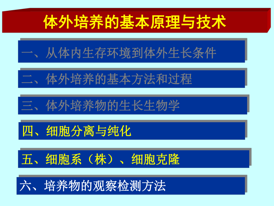 细胞分离与纯化课件.ppt_第2页