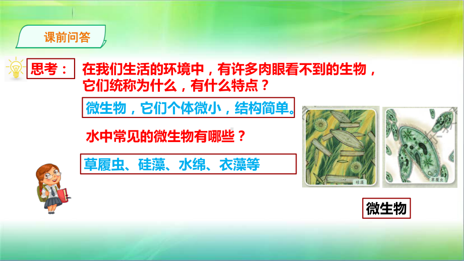 粤教粤科版小学科学五年级下册科学《发面的学问》课件.ppt_第2页