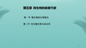 环境工程微生物学微生物的能量代谢推荐精选课件.pptx