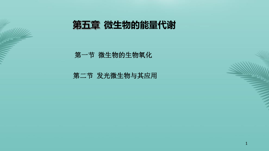 环境工程微生物学微生物的能量代谢推荐精选课件.pptx_第1页