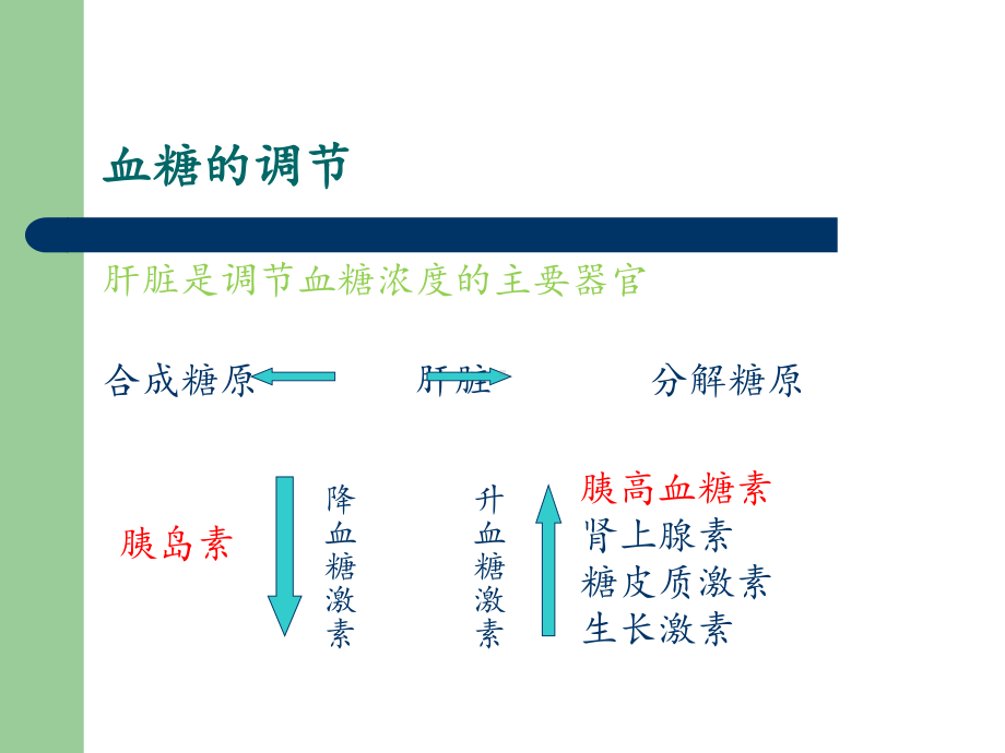 血糖监测技术最新版本课件.ppt_第3页