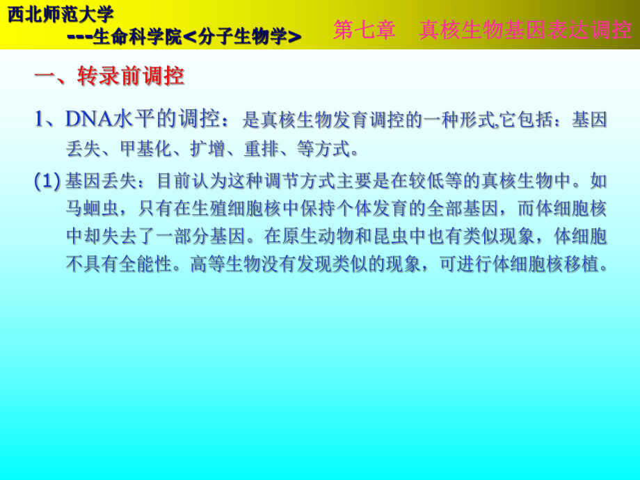 第七章真核基因表达调控课件.pptx_第2页