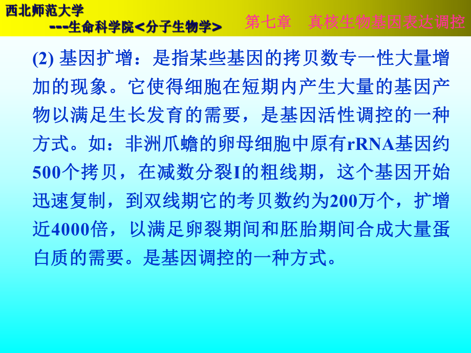 第七章真核基因表达调控课件.pptx_第3页