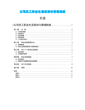 公司员工职业生涯规划与管理制度(DOC 17页).docx