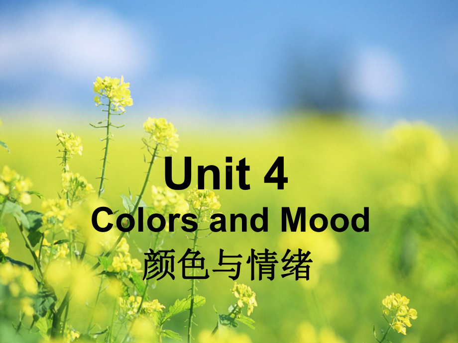 英语拓展模块unit-4《colors-and-mood》课件5.ppt_第1页