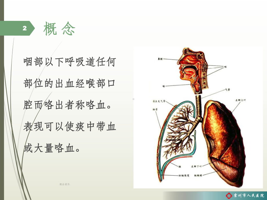 精选咯血诊疗规范课件.pptx_第2页