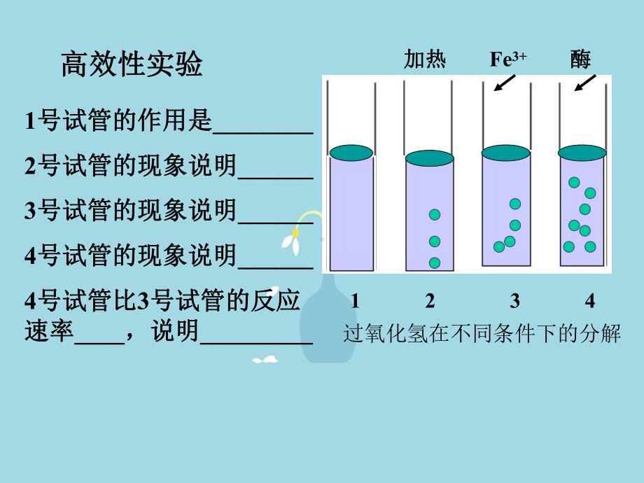 细胞的能量供应和利用教学课件.ppt_第3页