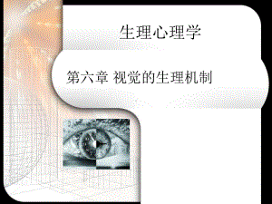 第六章视觉的生理机制课件.ppt