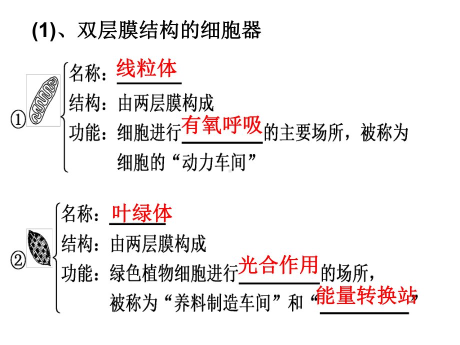 生物必修一-第3章-第2节2细胞器-细胞内的分工合作课件.ppt_第2页