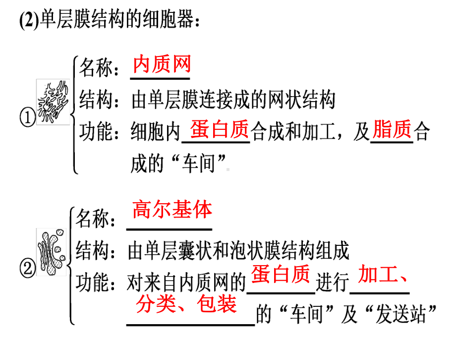 生物必修一-第3章-第2节2细胞器-细胞内的分工合作课件.ppt_第3页