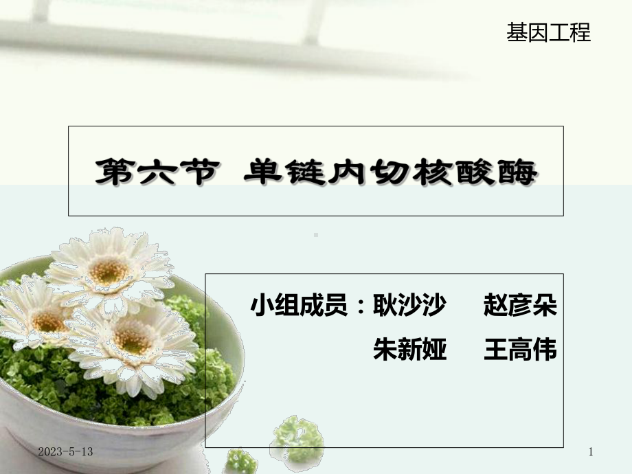 第六节-单链内切核酸酶课件.ppt_第1页