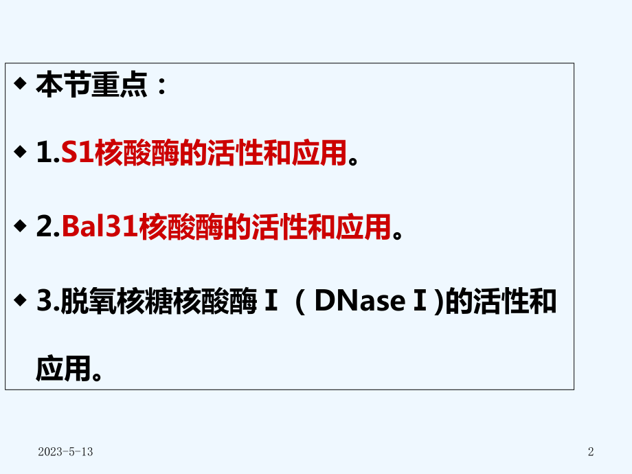 第六节-单链内切核酸酶课件.ppt_第2页