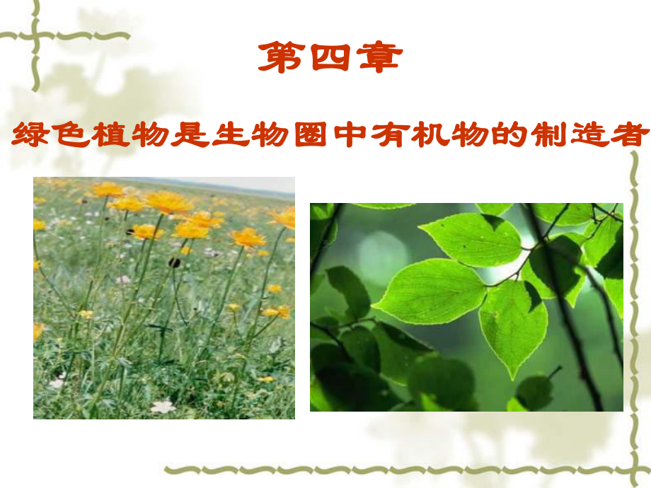 第四章绿色植物是生物圈中有机物的制造者课件讲义.ppt_第1页