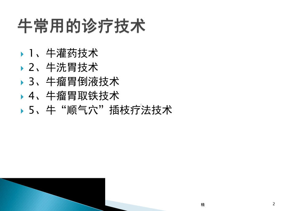 牛常用的诊疗技术教学课件.ppt_第2页