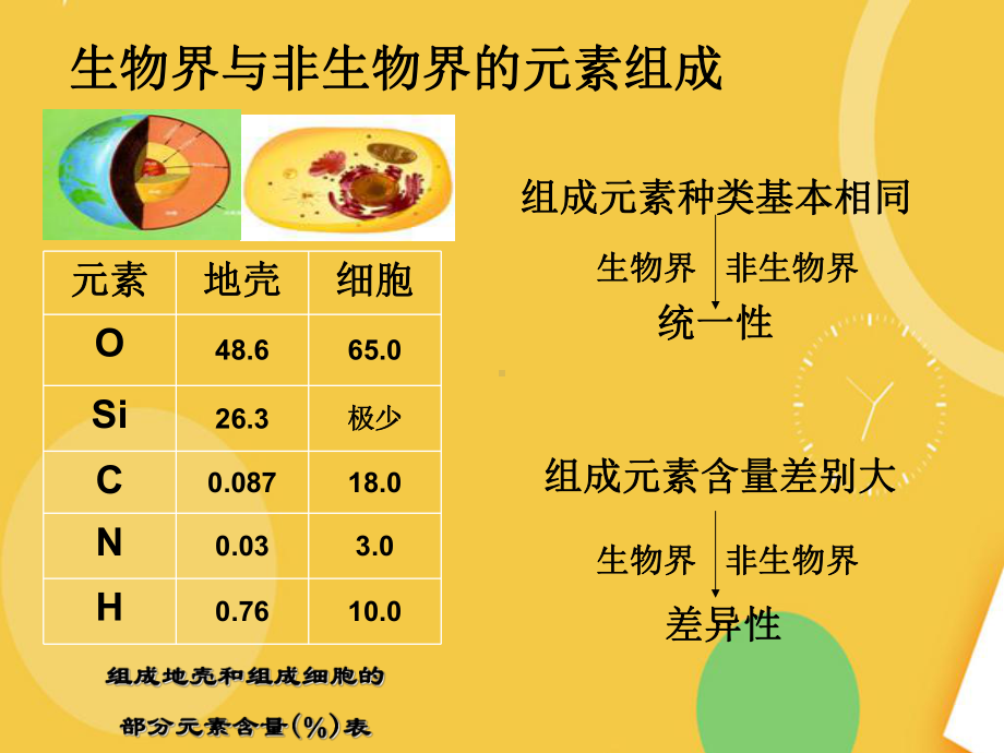 组成细胞的元素和分子优品资料课件.ppt_第3页