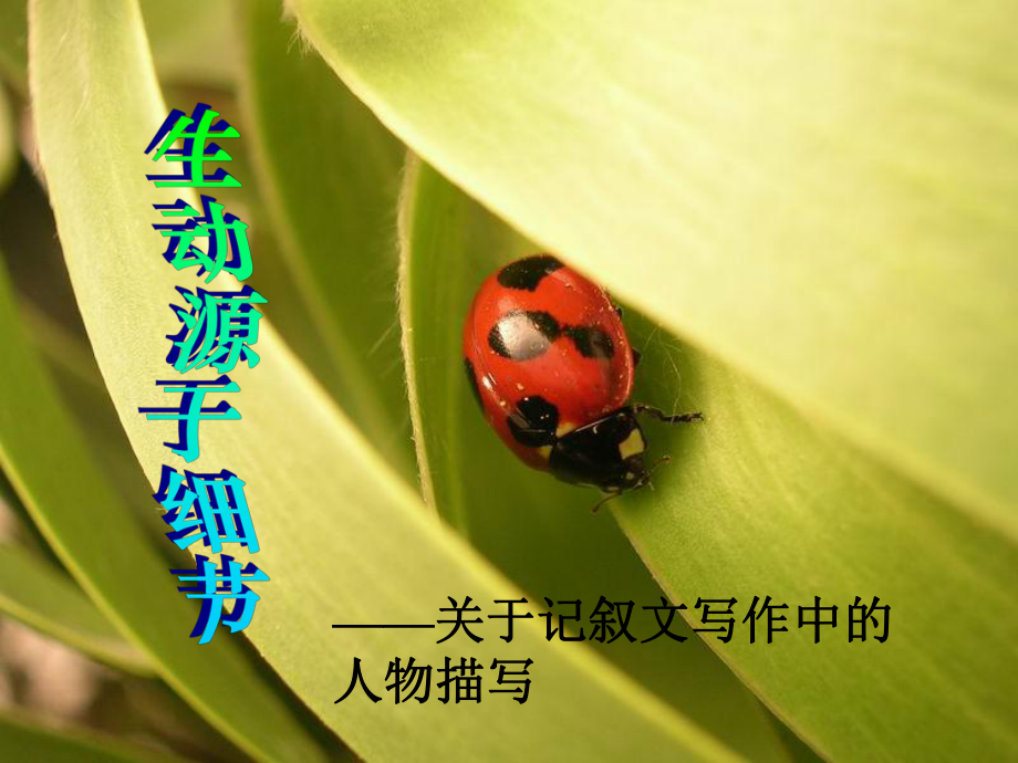 细节描写的作文课件.ppt_第1页