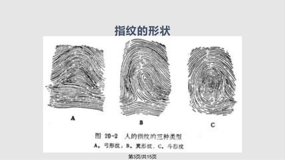 科学活动有趣的指纹课件.pptx_第3页