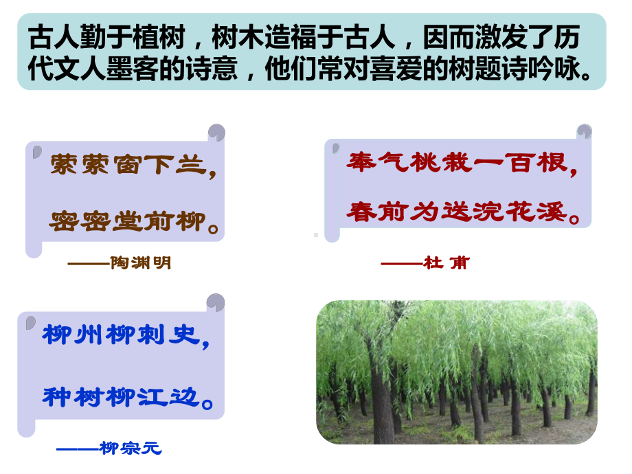 种树郭橐驼传(同名25)课件.ppt_第1页