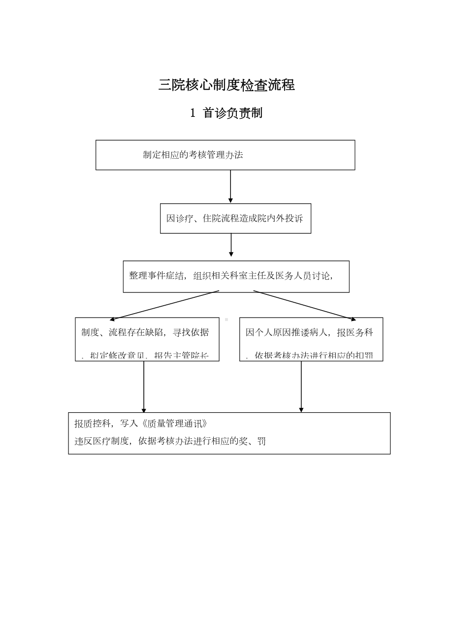 医院核心制度流程图(DOC 21页).doc_第1页