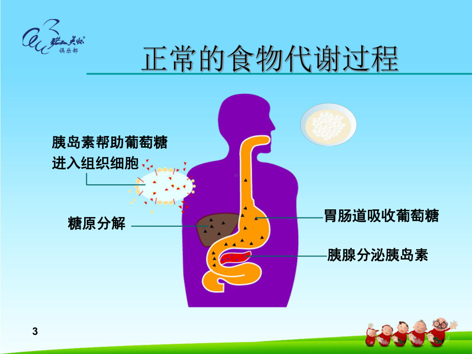 糖尿病健康知识讲座（完整版）课件.ppt_第3页