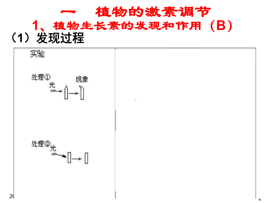 稳态与环境复习课件.ppt_第2页