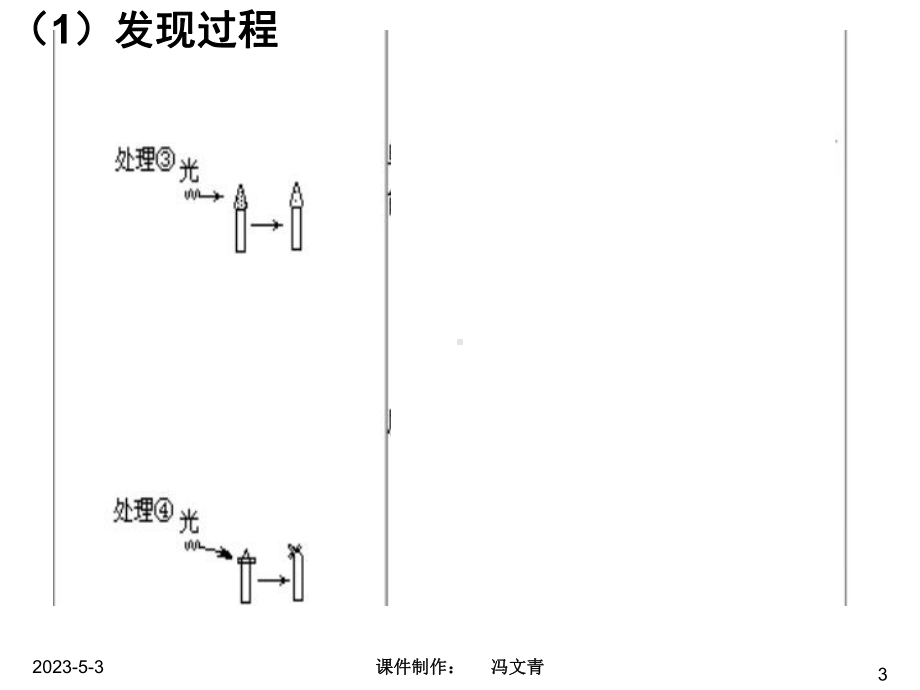 稳态与环境复习课件.ppt_第3页