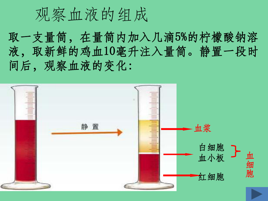 生命之源(血液)课件.ppt_第3页