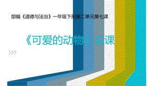 部编《道德与法治》一年级下册《可爱的动物》说课课件.ppt