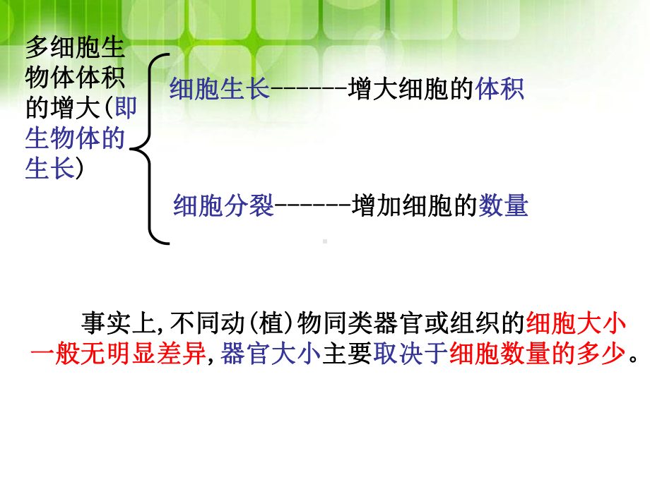 细胞大小与细胞生命活动课件.ppt_第3页