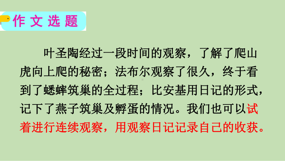 统编版小学四年级语文上册习作《写观察日记》优质课件.pptx_第2页