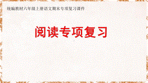 统编教材六年级上册语文期末专项复习课件-阅读专项.pptx