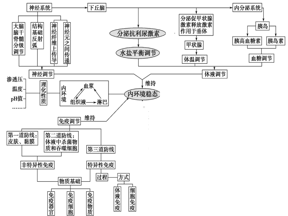 生物必修三复习典型例题课件.ppt_第2页