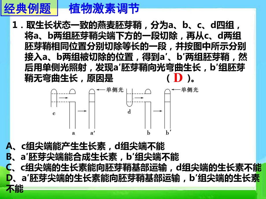 生物必修三复习典型例题课件.ppt_第3页