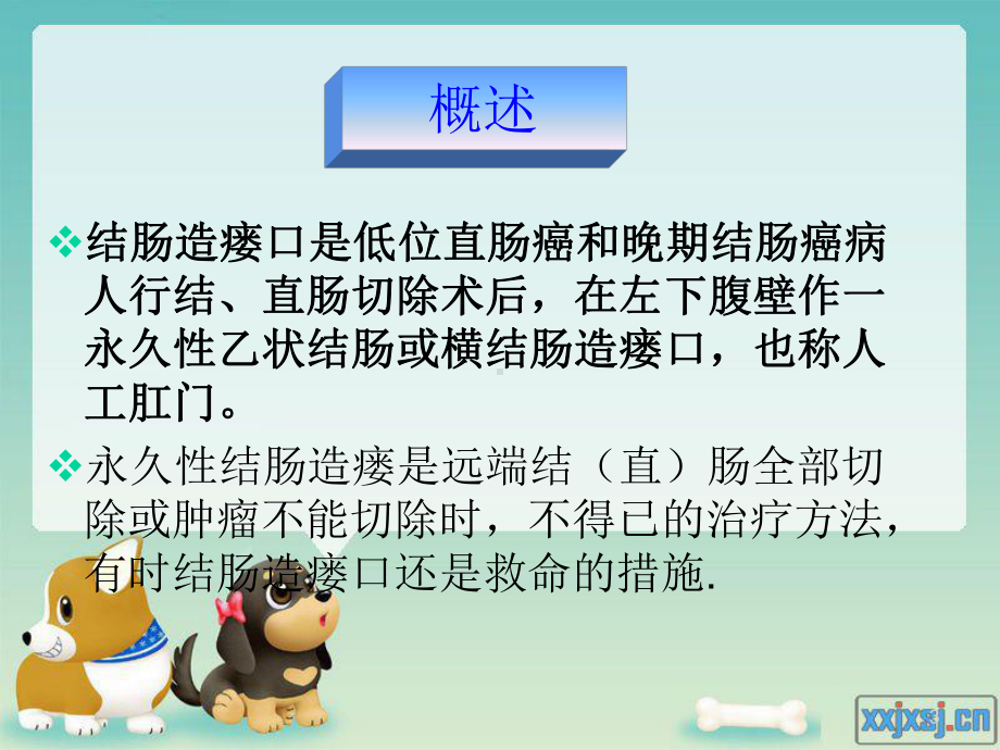 结肠造瘘口病人的护理教学课件.ppt_第3页