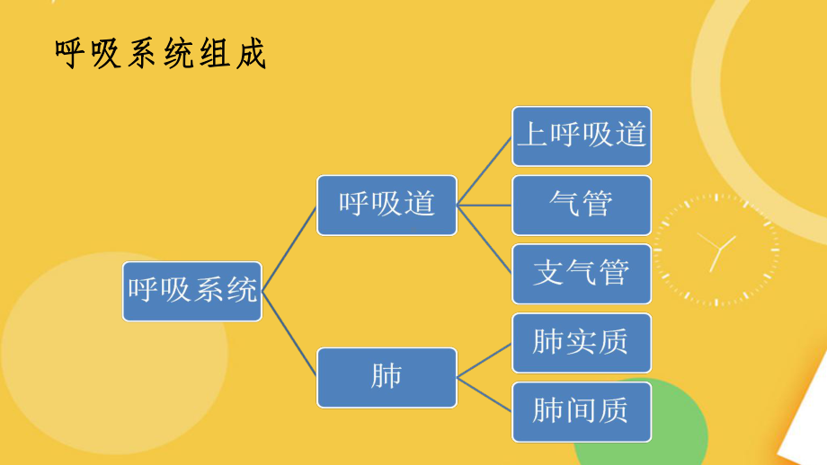 肺功能检查的操作流程目的及注意事项月完整资料课件.pptx_第3页