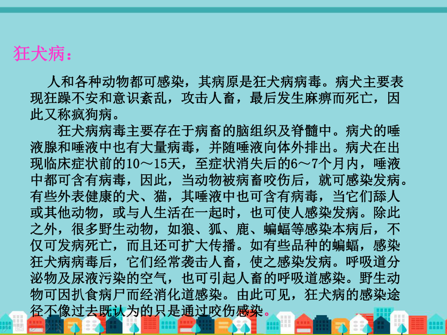 语文S版小学语文四年级下册：10巴斯德征服狂犬病课件.ppt_第3页