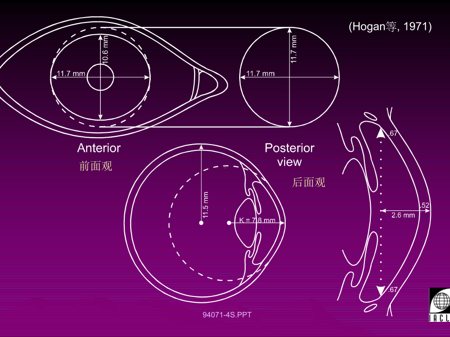 眼睛相关知识课件.pptx_第2页