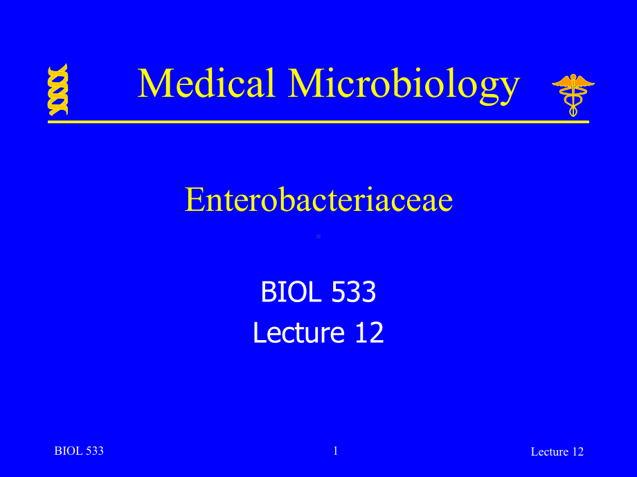 英文版-Indiana-University-Purdue-University-Fort-Wayne微生物学授课讲义-lecture-12课件.ppt_第1页