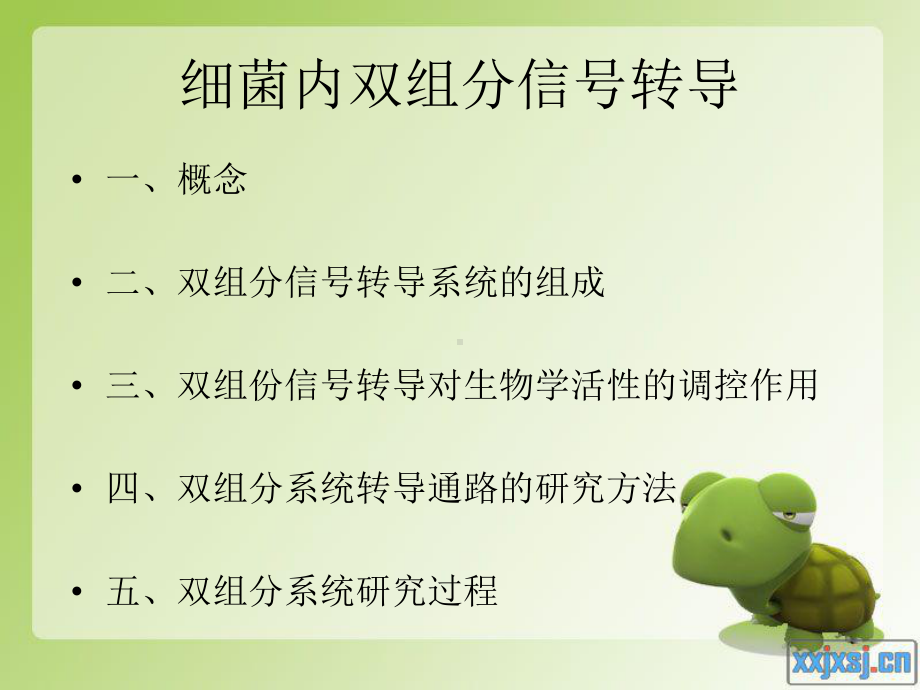 细菌内双组分信号传导全解课件.ppt_第1页