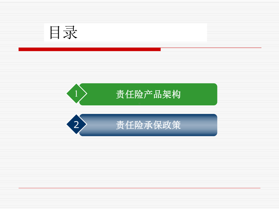 责任险承保政策课件.pptx_第2页