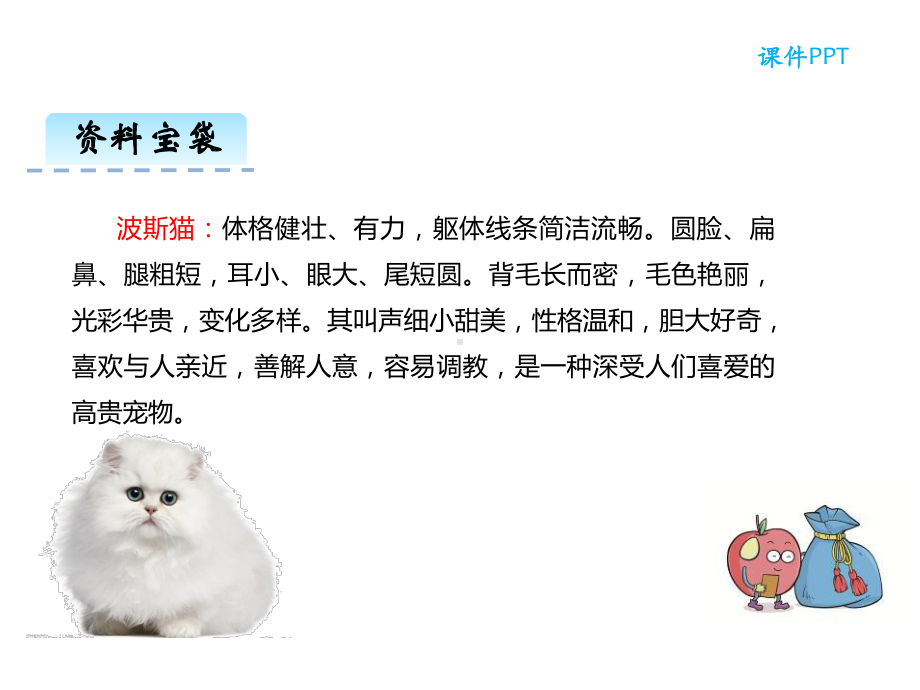 语文S版语文二年级下册9《波斯猫找快乐》公开课课件.ppt_第2页