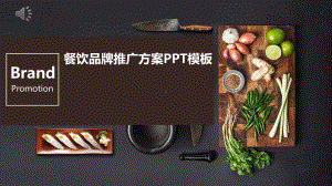 经典创意共赢未来餐饮品牌推广方案模板课件.pptx