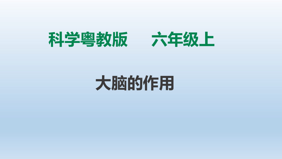 粤教版六年级科学上册315《大脑的作用》课件.ppt_第1页