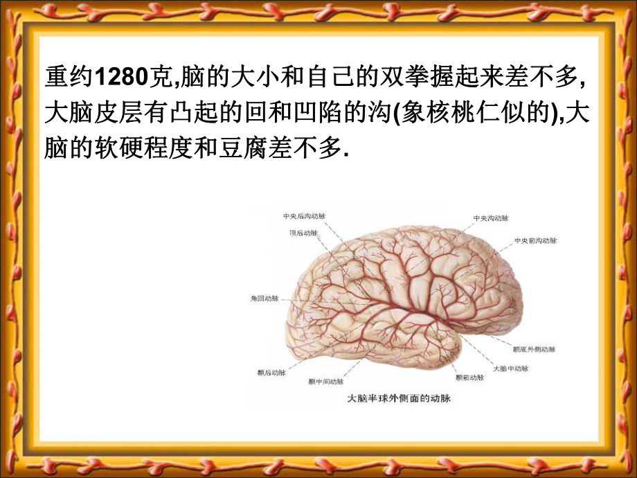 精编苏教版五年级下册科学第五和第六单元教学课件设计.ppt_第3页